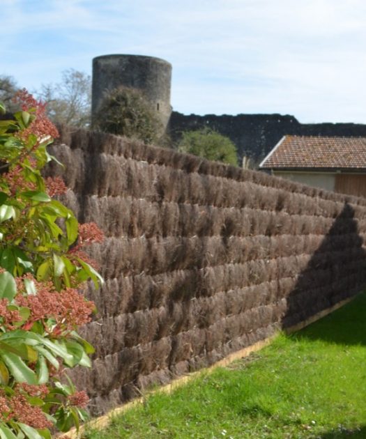 Pourquoi acheter de la brande de bruyère ?
