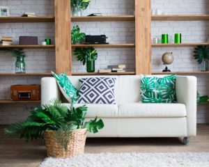 Comment adopter une décoration tropicale dans son intérieur ?