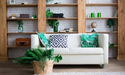 Comment adopter une décoration tropicale dans son intérieur ?