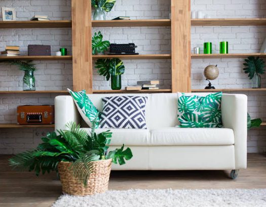 Comment adopter une décoration tropicale dans son intérieur ?