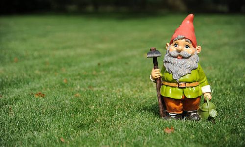 Comment appelle-t-on un nain de jardin ?