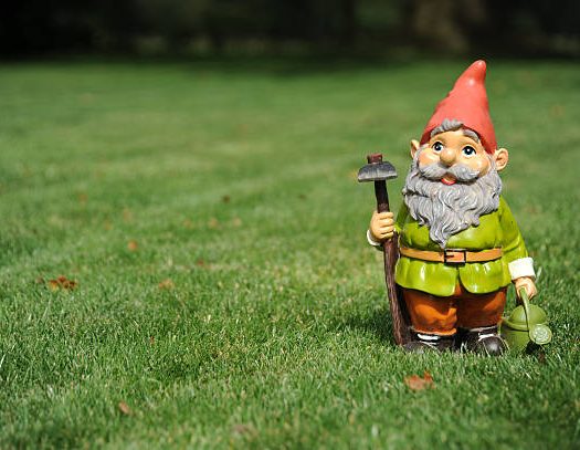 Comment appelle-t-on un nain de jardin ?