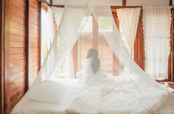 Comment laver une moustiquaire ?