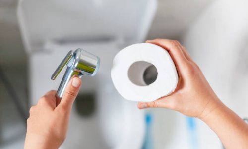 Papier toilette VS BIDET VS Douchette, lequel choisir ?