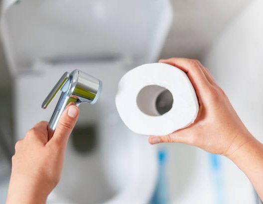 Papier toilette VS BIDET VS Douchette, lequel choisir ?