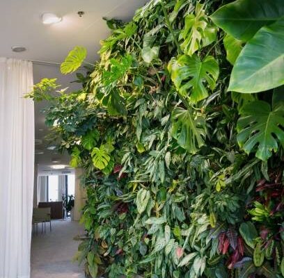 Quels sont les inconvénients d’un mur végétal artificiel ?