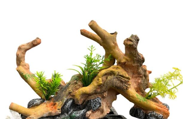 Créez une ambiance bohème avec une décoration en bois flotté