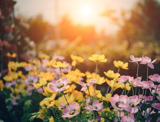 Rehaussez l’élégance de votre jardin avec des coussins décoratifs