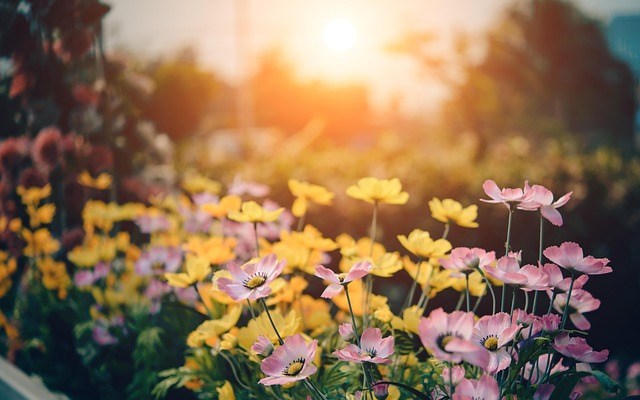 Rehaussez l’élégance de votre jardin avec des coussins décoratifs