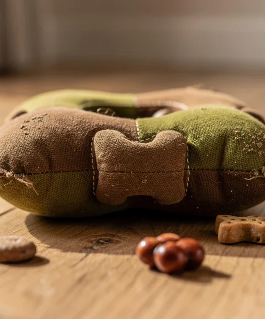 Jeu pour chien intelligent : stimuler l’esprit de votre compagnon à quatre pattes